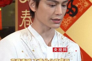 丁禹兮首登春晚：努力终获回报的精彩时刻
