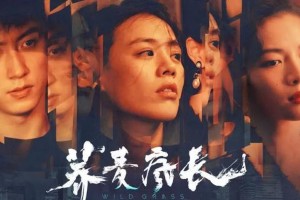 《荞麦疯长》钟楚曦惊艳表现：烂片中的闪光点