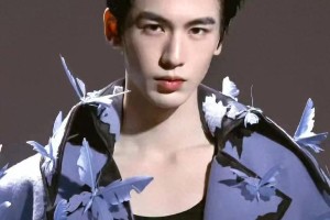 VOGUE盛典男星红毯造型大比拼：谁最闪耀？