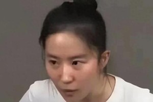精选图片集锦：视觉盛宴一览